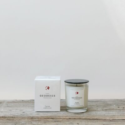 Geodesis fig candle