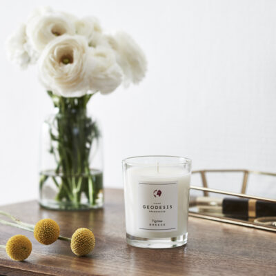 Geodesis fig candle