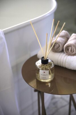 Geodesis clove tree diffuser