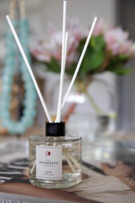 Geodesis fig tree diffuser