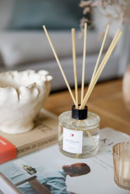 Geodesis fig tree diffuser