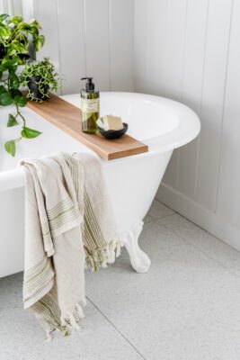 Lothantique Le Comptoir Olive