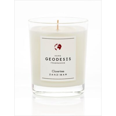 Geodesis clove tree scented candle