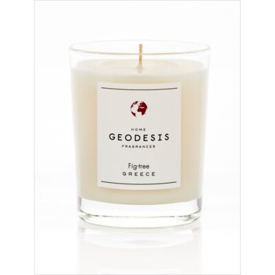 Geodesis fig tree scented candle