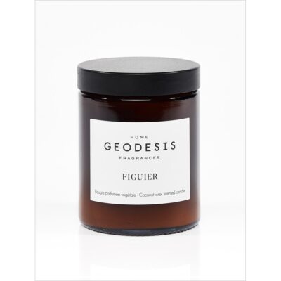 Geodesis fig tree candle