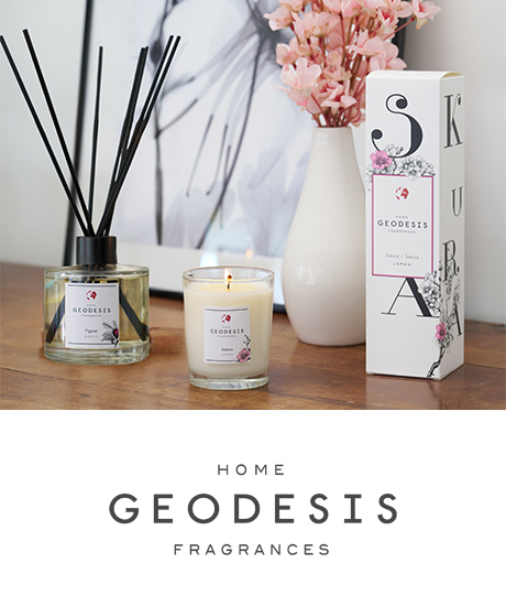 Geodesis home new
